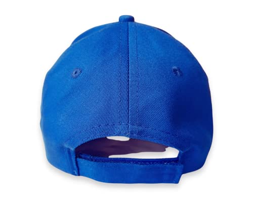 KDOG Make America Intelligent Again Adjustable Baseball Cap Blue