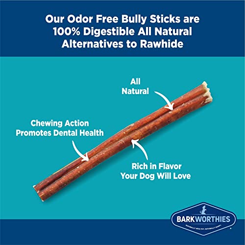Barkworthies Odor-Free 6-inch Bully Sticks (5 Pack) - Healthy Dog Chews - Protein-Packed, Highly Digestible, All-Natural Rawhide Alternative Dog Treats - Promotes Dental Health
