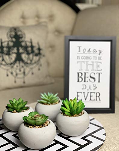 Symmetric Matrix 4 Artificial Succulents in Cement Pots Realistic Decorative