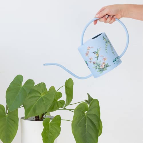 Watering Can for Indoor Plants Colorful Water can for Plants Metal Blue