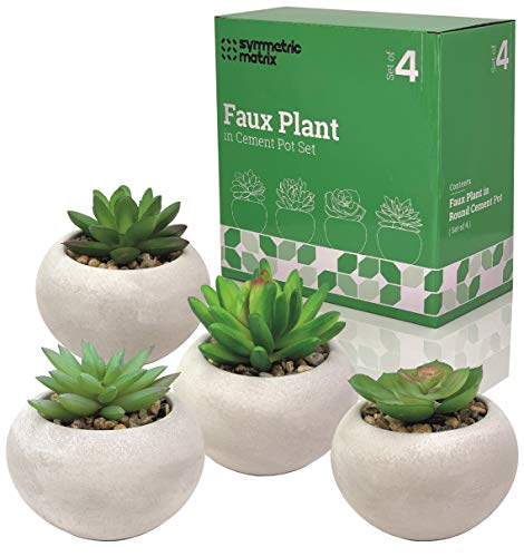 Symmetric Matrix 4 Artificial Succulents in Cement Pots Realistic Decorative