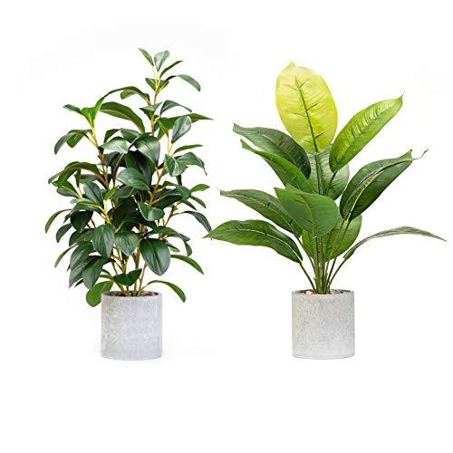 Velener 2Pc Ficus Tree & Fiddle Leaf Fig Tree Artificial in Indoor Planter 20"- Rustic Home Decor Farmhouse Kitchen Living Room Tall Floor Plants Office Bathroom Patio Sage Green House Plants Tabletop