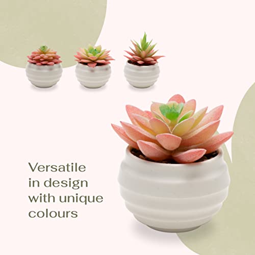VIVERIE 4Pcs Pink Green Artificial Succulents in Pots (Plastic)- Small Artificial Plants for Office Shelf, Cubicle, Dorm, Table Centerpiece, Cute, Guest Room Decor, Desk Plants, Plant Lover Gifts