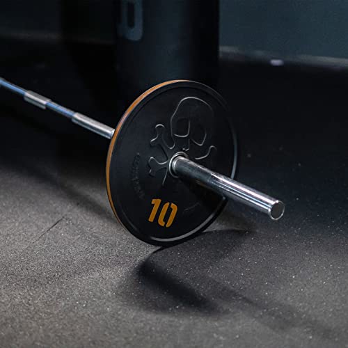 10lbs 2 Pack Bumper Plate by Tribe Wod Corsair Bar Bell Plates Men and Women