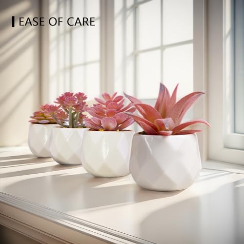 Viverie Mini Succulents Plants Artificial Pots Rose Pink Small White Ceramic Set of 4