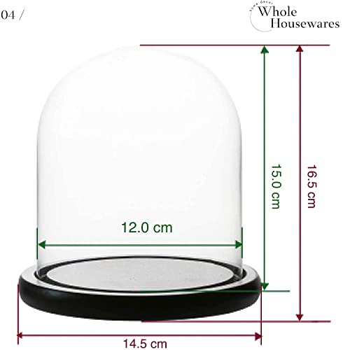 WHOLE HOUSEWARES Decorative Clear Glass Dome Tabletop Centerpiece Cloche Bell Jar MDF Base, 5.7" D X 6.5" Clear