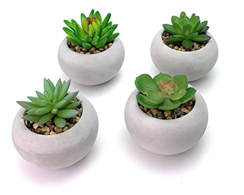 Symmetric Matrix 4 Artificial Succulents in Cement Pots Realistic Decorative