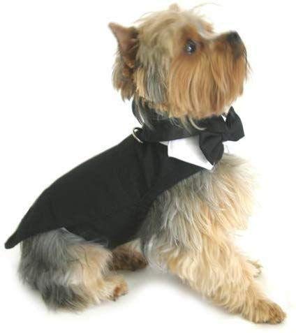 Black Dog Harness Tuxedo w/Tails Bow Tie Cotton Collar