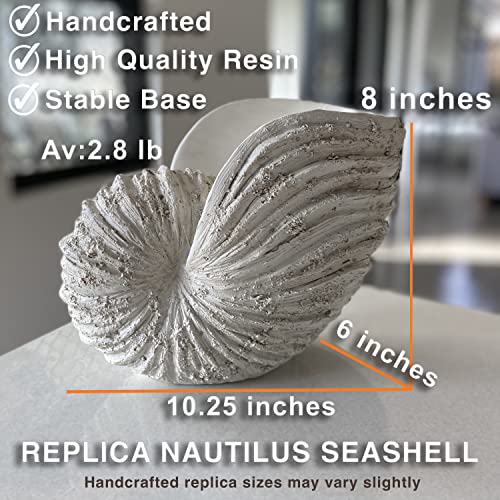 Huey House Nautilus Shell Sculpture - Replica Beach Themed Ocean Decor for Home - Rustic White Resin 10¼" x 6" x 8" Crafted Coastal Seashell Shelf Decor Gift-Boxed