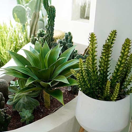 Velener Artificial Agave Plant Set Faux Aesthetic Plants for 18 Inches Set of 2