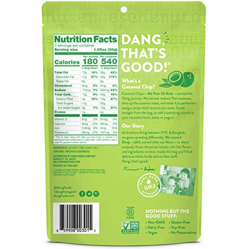 Dang Toasted Coconut Chips Vegan Gf Nongmo Healthy Snacks Original 317 Oz 6 Pack