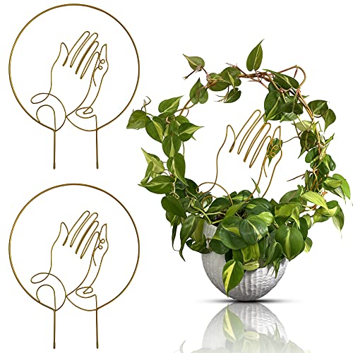Small Trellis for Potted Plants (Pack of 2) - Unique Easter Gift Prayer Plant Trellis Indoor Size: 16.94" x 13.75" (Gold)