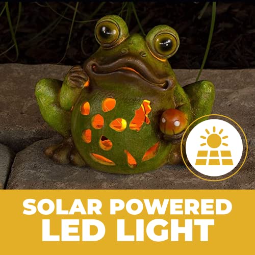 Dawhud Direct Frog Solar Light for Home and Outdoor Decor