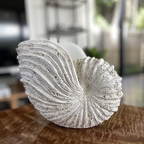 Huey House Nautilus Shell Sculpture - Replica Beach Themed Ocean Decor for Home - Rustic White Resin 10¼" x 6" x 8" Crafted Coastal Seashell Shelf Decor Gift-Boxed