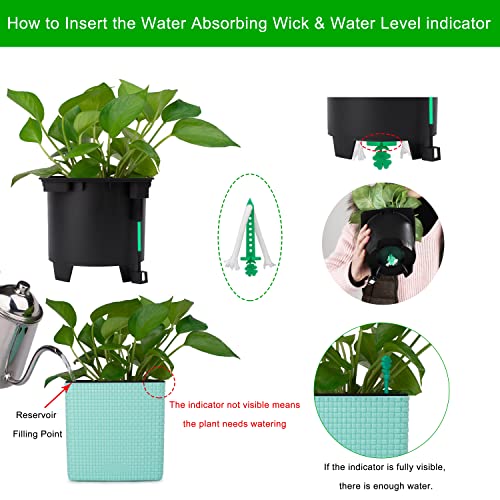 Self Watering Pot for Plants 5.5 Inch Four Leaf Clover Water Level Indicator