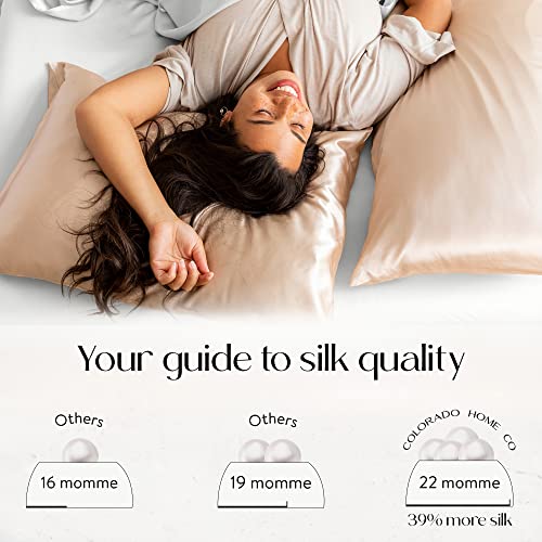 Colorado Home Co Silk Pillowcase 2 Pack - Silk Pillowcase for Hair and Skin - Queen Size Pillow Cases Set of 2 - 100% Mulberry 2 Pack Off White - Silk Pillow Covers with Reinforced Zipper