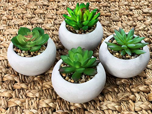 Symmetric Matrix 4 Artificial Succulents in Cement Pots Realistic Decorative