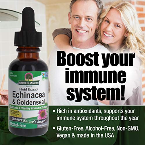 Nature's Answer Enchinacea & Goldenseal | Supports a Healthy Immune System