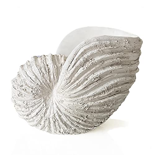 Huey House Nautilus Shell Sculpture Replica Beach Themed Ocean Decor for Home