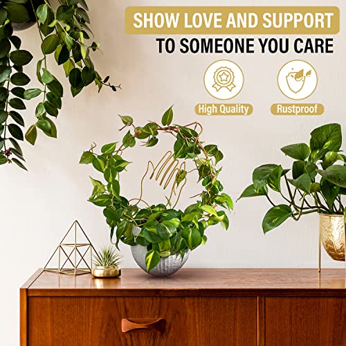 Small Trellis for Potted Plants (Pack of 2) - Unique Easter Gift Prayer Plant Trellis Indoor Size: 16.94" x 13.75" (Gold)