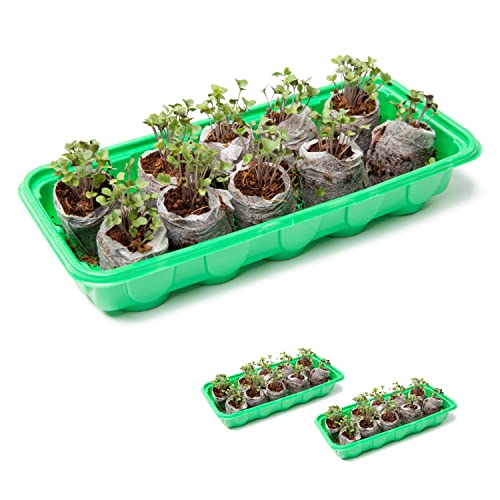 Window Garden Mini Indoor Greenhouse Seed Starter - Reusable Plastic Container - Trays with Dome and Seedling Soil Pods - 3-Pack Windowsill Greenhouse Kits & 30 Cells Seed Starting Kit