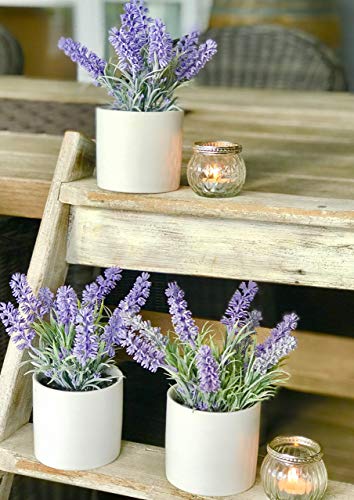 Kurrajong farmhouse Fake Lavender Artificial Plant | Artificial Lavender in White Pot Fake Lavender Plant