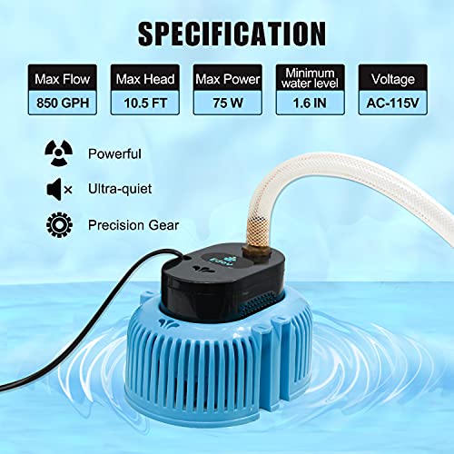 EDOU DIRECT Submersible Pool Cover Pump HEAVY DUTY 850 GPH Max Flow Blue