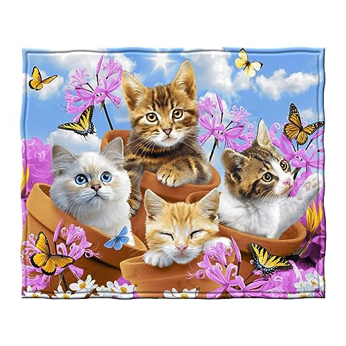 Dawhud Direct Wonder Kitten Fleece Blanket for Bed Queen Size 50x60 Inch