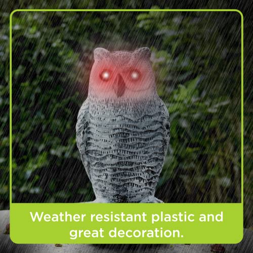 Bird Blinder Fake Owl Flashing Eyes Sound Motion Detector Scarecrow for Yard