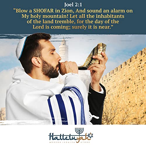 Shofar From Israel 14"-16": KOSHER ODORLESS Ram Horn Shofar | Smooth Mouthpiece for Easy Blowing | Include Velvet Bag, Clean Brush and Shofar Guide - Made In Israel By HalleluYAH