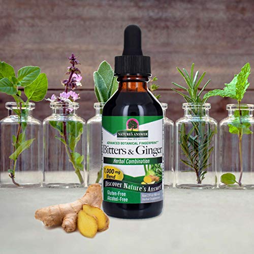 Natures Answer Bitters Ginger 2 Fl Oz Alcohol Free Digestive Support