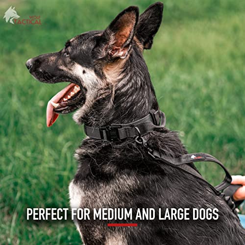 WOLF TACTICAL Dog Collar for Large Dogs Military Heavy Duty Dog Collars