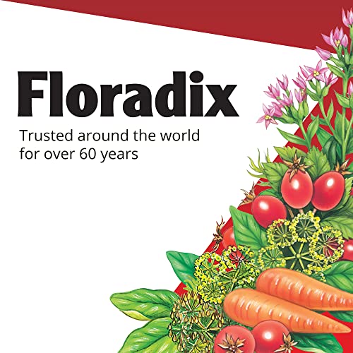 Floradix, Iron Tablets Vegetarian Supplement for Energy Support for Women and Men, Non-GMO, Vegetarian, Kosher, Lactose-Free, Unflavored, 80