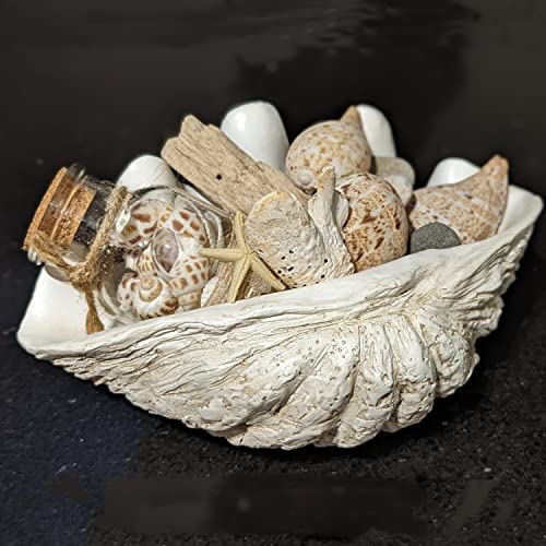 Huey House Small Clam Shell Sculpture White Resin Replica Home 906Lx59Wx433H Inch