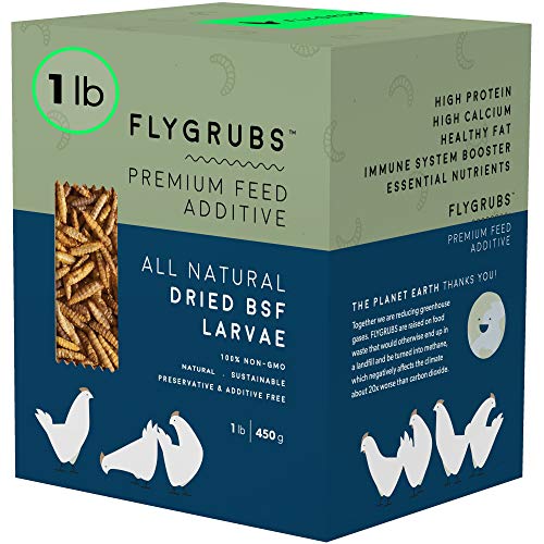 FLYGRUBS Superior to Dried Mealworms for Chickens 1lb