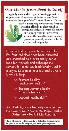 Bravo Tea Absolute Red Clover Herbal Tea Caffeine Free, 20 Tea Bags