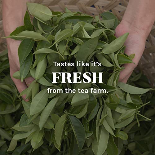 Uncle Lee’s Organic Green Tea 100 Tea Bags