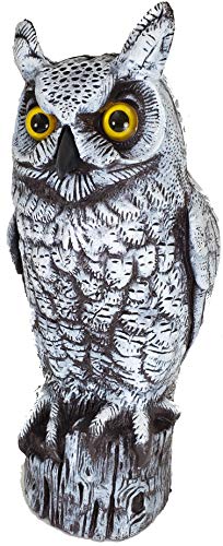 Dalen Fake Owl Decoy to Scare Birds Gardens Rooftops and Patios Snow White