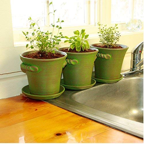 Rustic Charm 6 Ceramic Planter Indoor Decorative Pot for Herbs Flowers