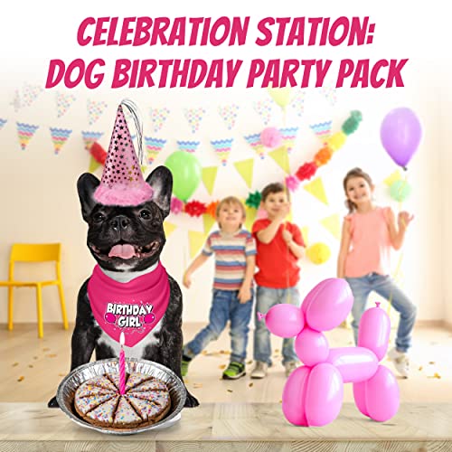 JT PET Dog Birthday Girl Party Pack Cake Bandana Party Hat Vegan Pie