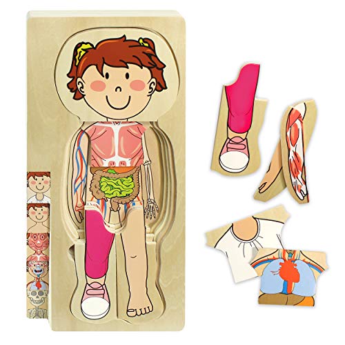 Kidzlane Wooden My Body Puzzle for Toddlers & Kids - 29 Piece Girls Anatomy Play Set Ages 3+