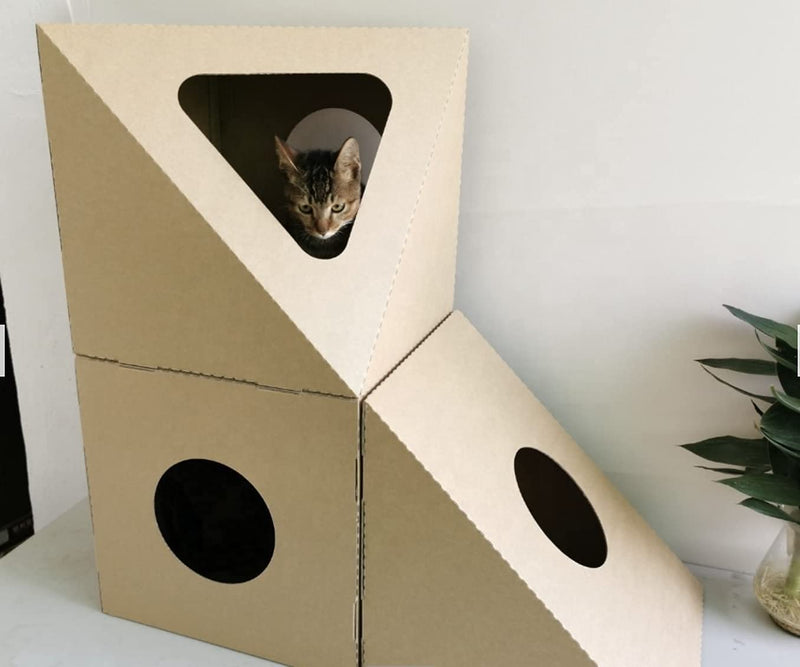 Cat House and Scratcher Box Cat Home