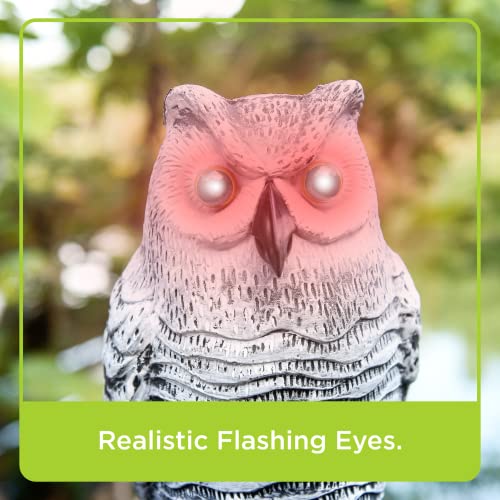 Bird Blinder Fake Owl Flashing Eyes Sound Motion Detector Scarecrow for Yard