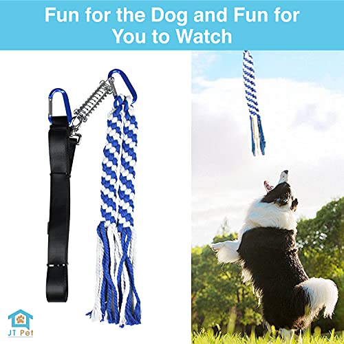 JT Pet Outdoor Spring Pole for Small and Medium Dogs 15" of Rope