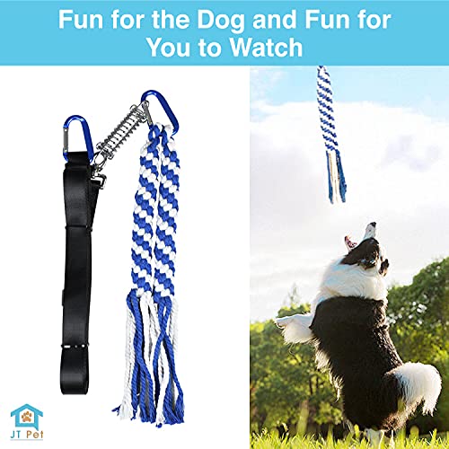 JT Pet Outdoor Spring Pole for Dogs Muscle Building Toy for Small and Medium Dogs