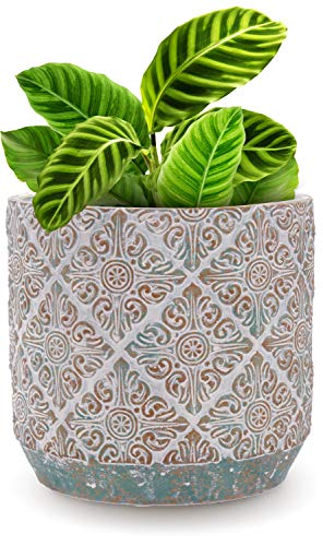 INSPIRELLA Timeless Modern Indoor Flower Pot - 6.3” Stunningly Detailed, Colorful Hand Glazed Cement Plant Pots with drainage for Indoor Outdoor Planting, Leak Proof Planter for Succulents and Flowers