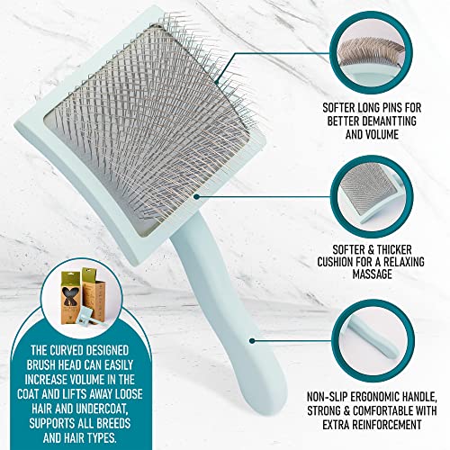 Pet Slicker Brush With Soft Massage Grooming Stainless Steel Pins Flying Pawfect
