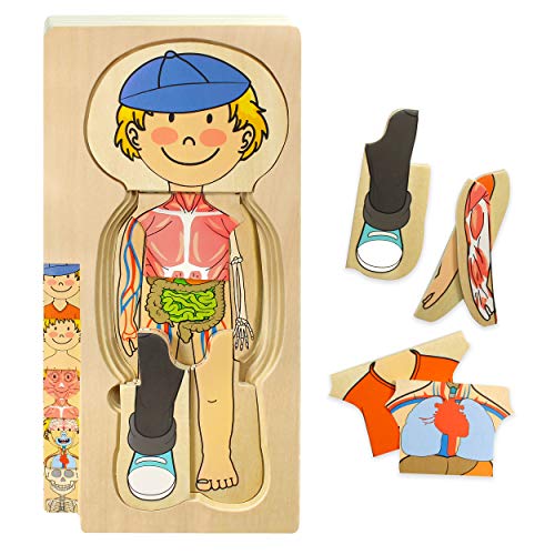 Kidzlane Wooden Human Body Puzzle for Kids and Toddlers | 29 Piece Boys Anatomy Play Set | Skeleton Toy for Ages 3+