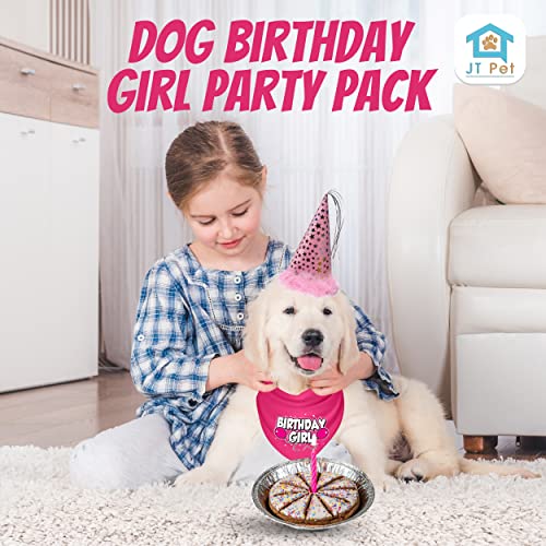 JT PET Dog Birthday Girl Party Pack Cake Bandana Party Hat Vegan Pie