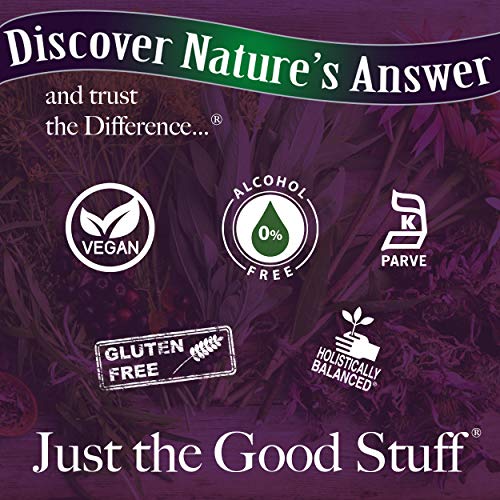 Natures Answer Bitters Ginger 2 Fl Oz Alcohol Free Digestive Support